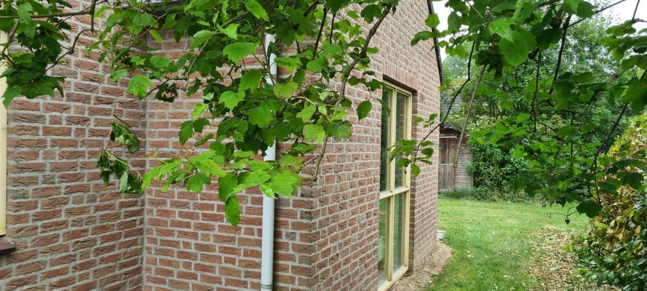 Forestview 'Queenstown' 6 Pers Very Child-Friendly By Kawatea Cottages (Adults Only) Ewijk Exterior photo